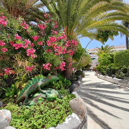阿罗纳Parque Don Jose 390公寓 外观 照片